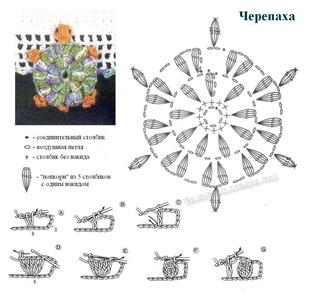 Аппликация черепаха