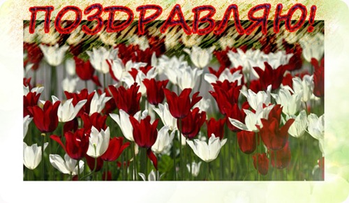 pozdravlenie pozdravlenie