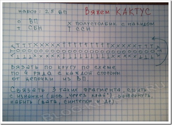 Кактус крючком схема